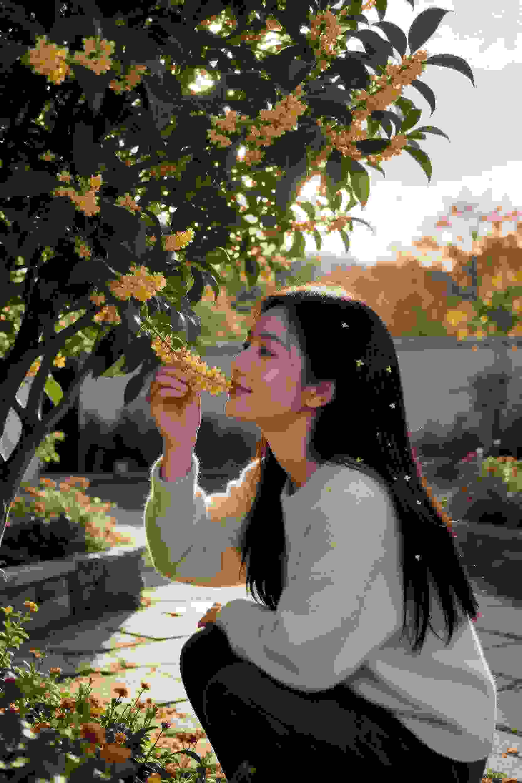 轮播1